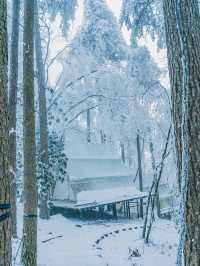 這個冬天一定要來大明山滑一次雪！