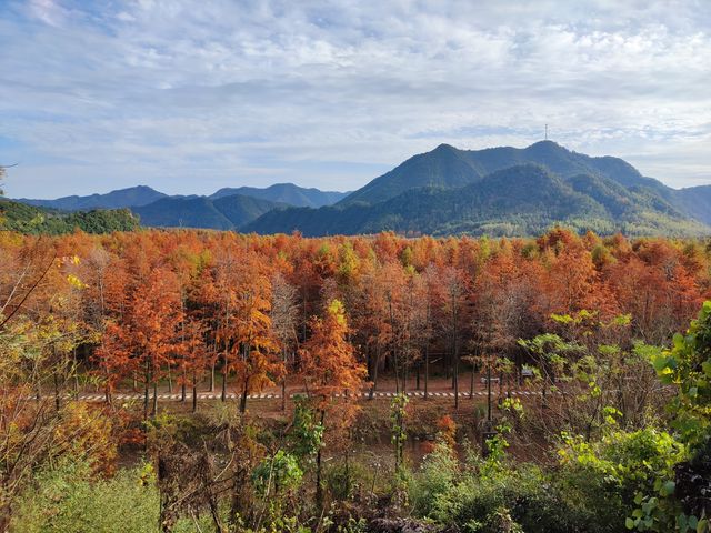 自駕6小時，探尋「皖南川藏線」的美景。