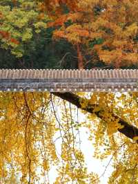 蘇州·治平寺|乾隆六下江南每次都在這裡小憩導航：