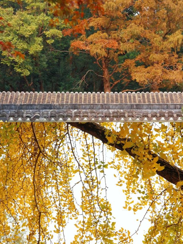 蘇州·治平寺|乾隆六下江南每次都在這裡小憩導航：