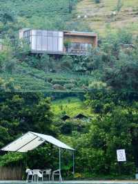 在清遠呢間茶山民宿 真的向雲端