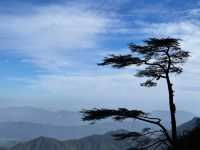 江西明月山｜邂逅自然與文化的完美融合
