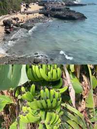 拜託冬季才是涠洲島的正確打開方式