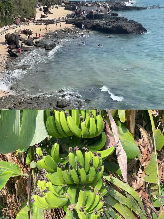 拜託冬季才是涠洲島的正確打開方式