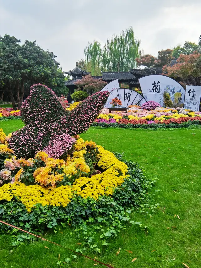 Ge Garden: Chrysanthemum Viewing