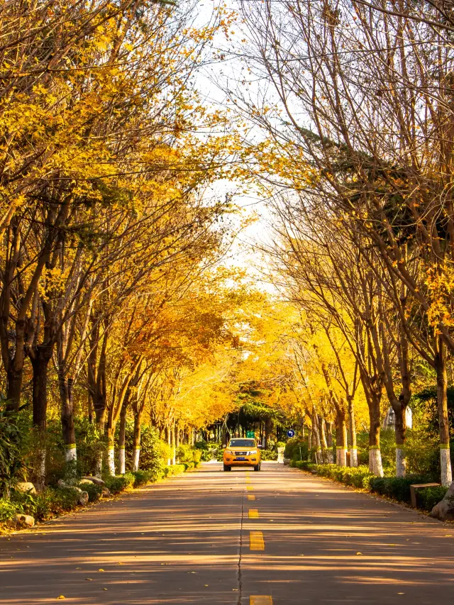 From Taohuayu to Yellow River Culture Park, Zhengzhou has its own outdoor style