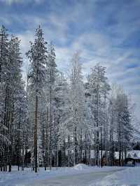 4日芬蘭冬遊攻略雪景美翻了