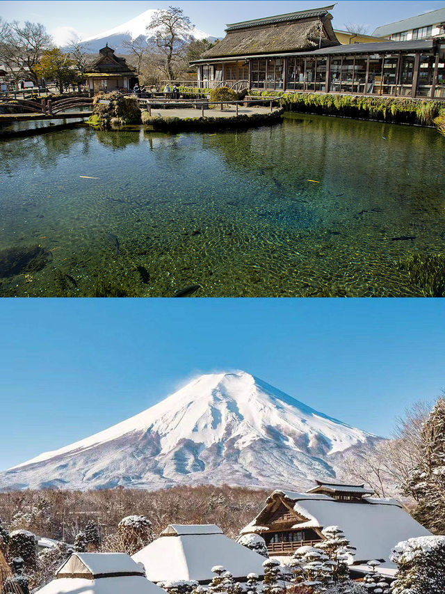 富士山下的浪漫：開啟忍野八海夢幻旅程。