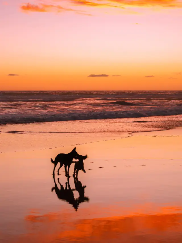 11-Day Australia Trip for New Year's Day