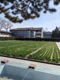 隆福寺藻井冰箱貼搞定！北京古建築博物館！