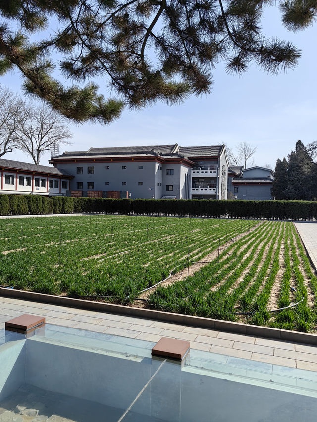 隆福寺藻井冰箱貼搞定！北京古建築博物館！