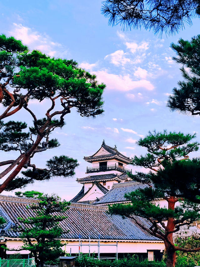 日本高知 | 小眾寶藏地的深度探索攻略