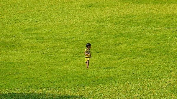 Discover the Green Paradise of Sri Lanka