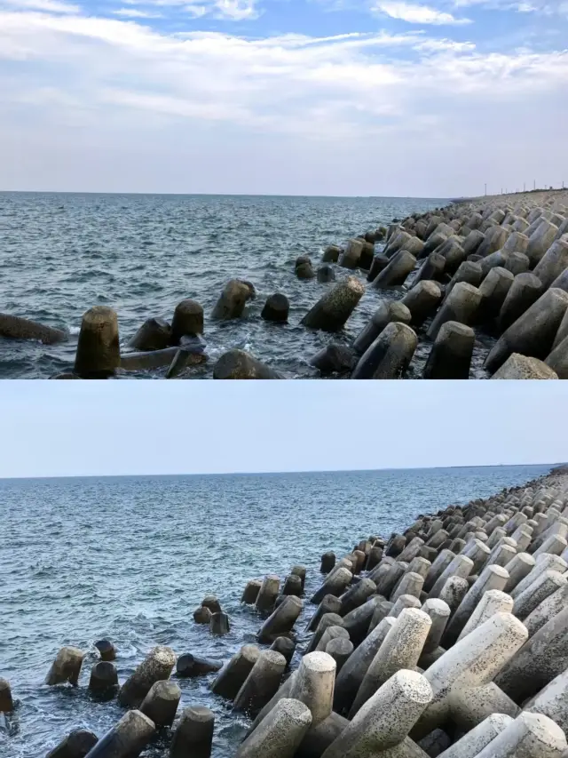 산둥 여행 - 루E·둥잉의 구둥 방조제, 구둥 방조제 단독 편!