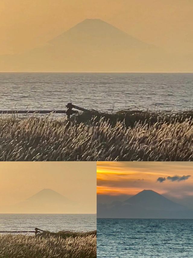 《邂逅館山，領略日本小眾海濱風情》