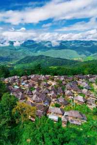 茗韻景邁——世界遺產：普洱景邁山古茶林文化景觀