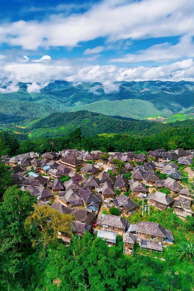 茗韻景邁——世界遺產：普洱景邁山古茶林文化景觀