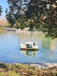 豐慶公園春已至，美好終將來臨！