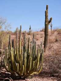 Exploring Phoenix Zoo in Arizona