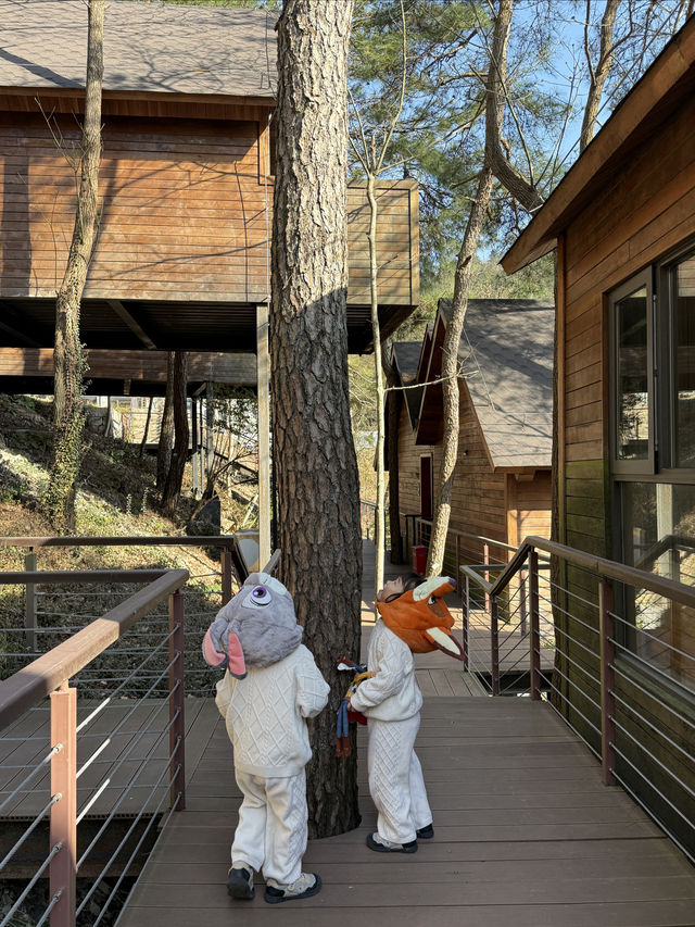 天姥隱的春天 住進童話裡的森林小木屋