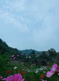 陽泉：中共創建第一城