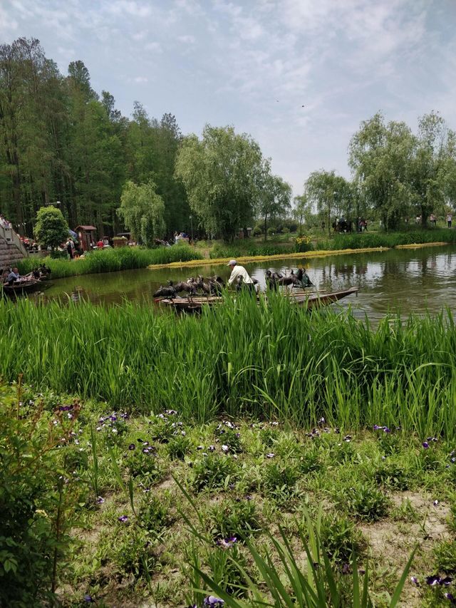 泰州旅遊