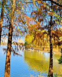 隨州文化公園