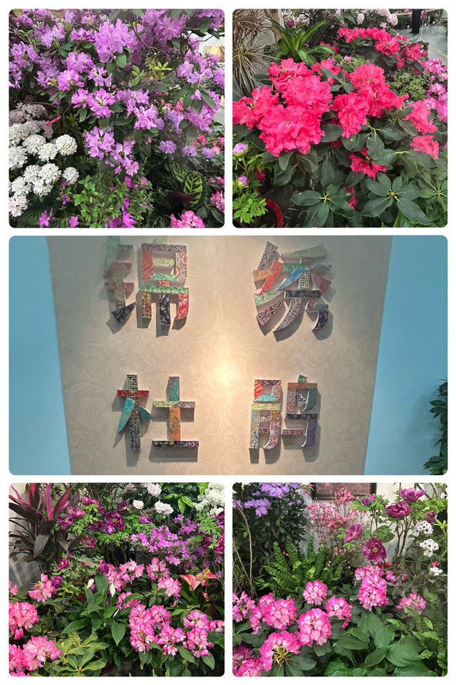 冬日裏的太原植物園