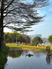 免門票，0元走進七彩莫奈花園～