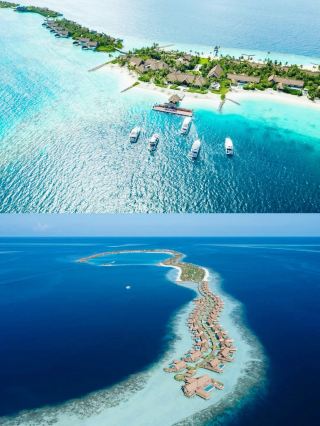 Maldives, a chance encounter with Waldorf Astoria Maldives Ithaafushi is enough