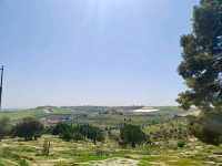 Discovering Amman National Park: A Peaceful Escape in the City🌳🌴
