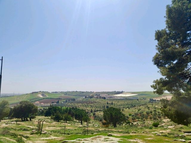 Discovering Amman National Park: A Peaceful Escape in the City🌳🌴