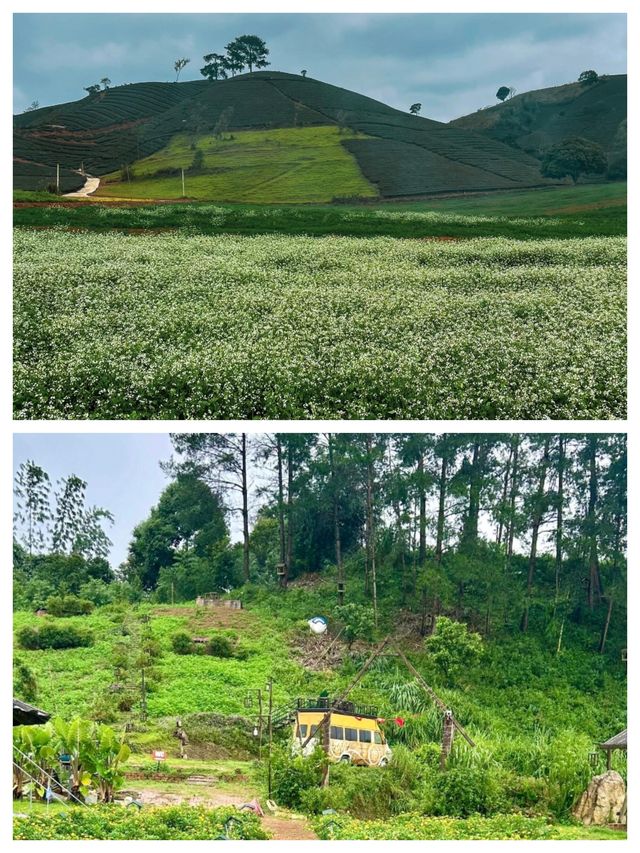 越南土龙木：探索寧靜與魅力的絕佳去處