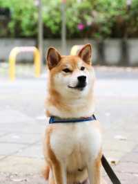 台北