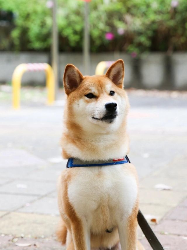 台北