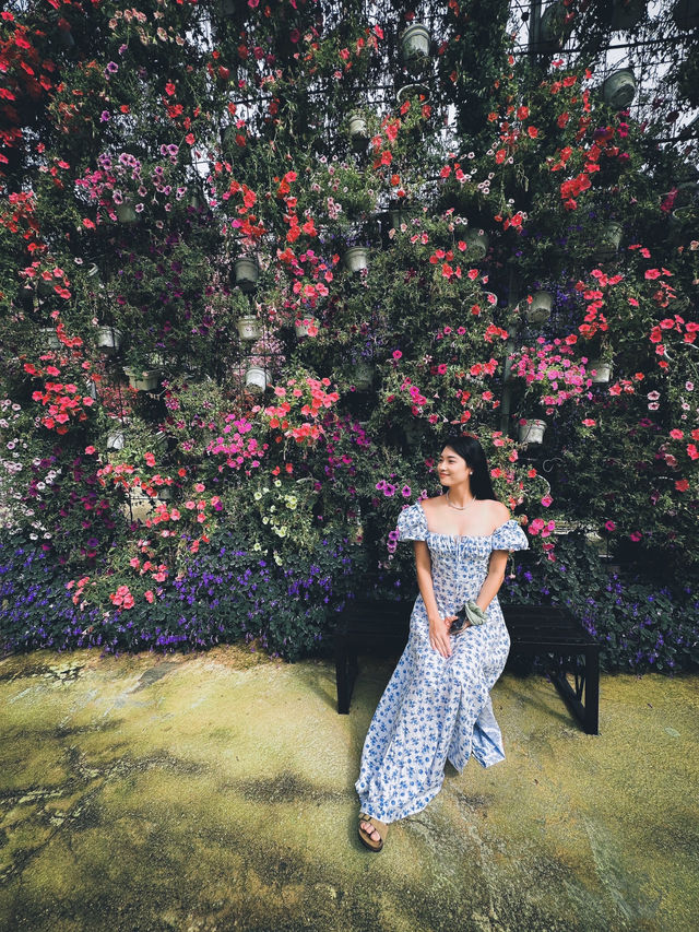 48 Hours in Cameron Highlands 🇲🇾 