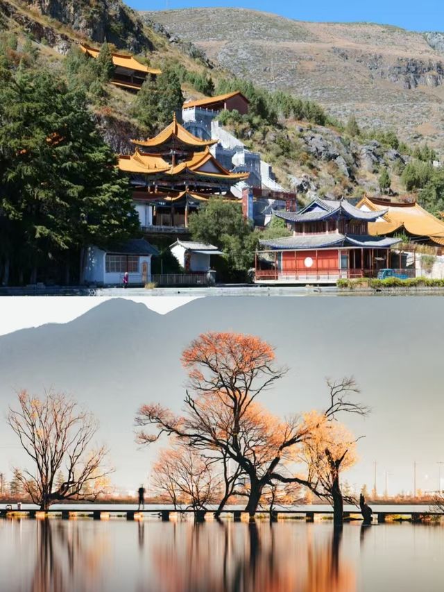 鶴慶已回，說點大實話。