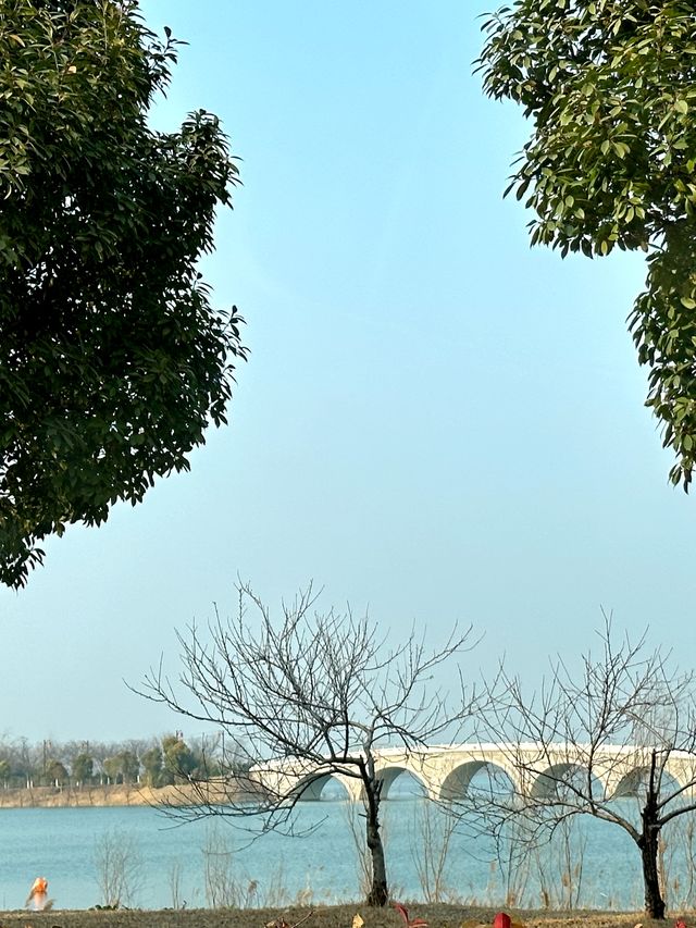 週末遛娃好去處｜永城日月湖公園！