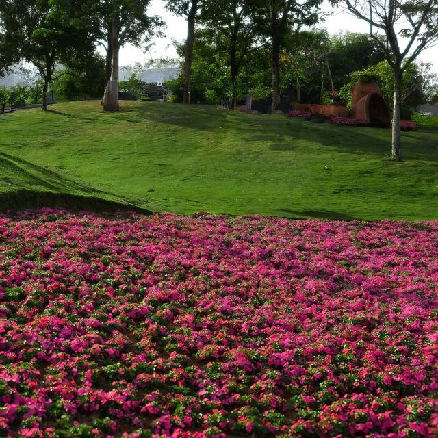 深圳打卡 | 邂逅彩色莫奈花園💐 桂灣公園