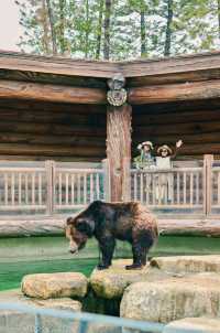 清遠長隆最全攻略（路線餵動物遊樂設施）