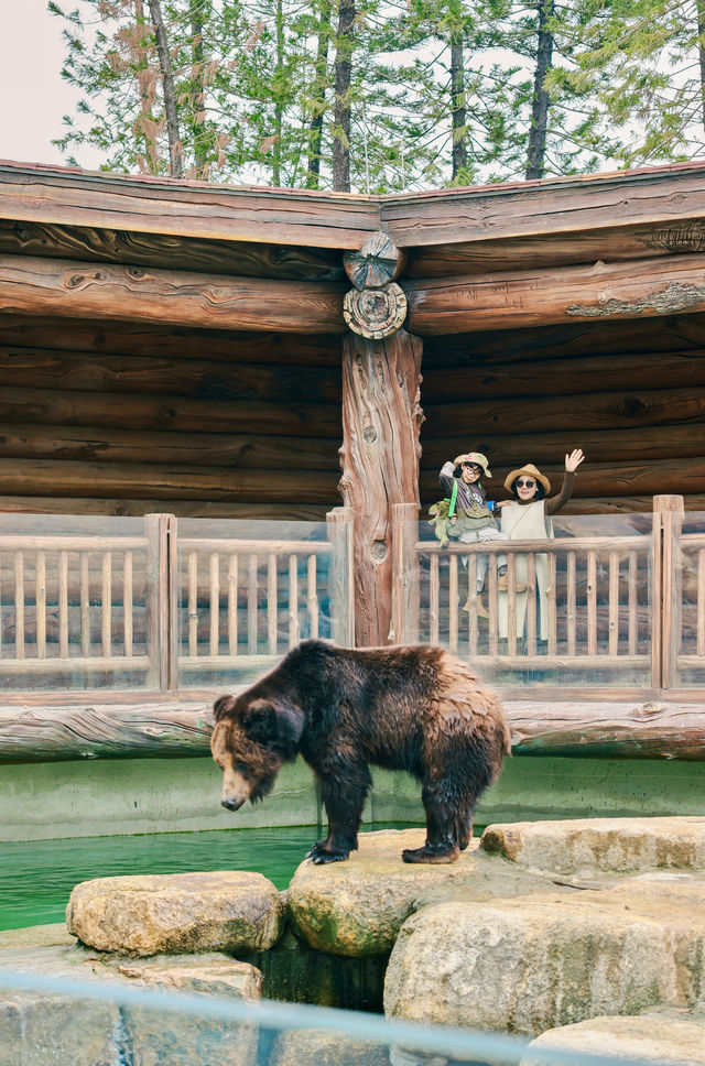 清遠長隆最全攻略（路線餵動物遊樂設施）