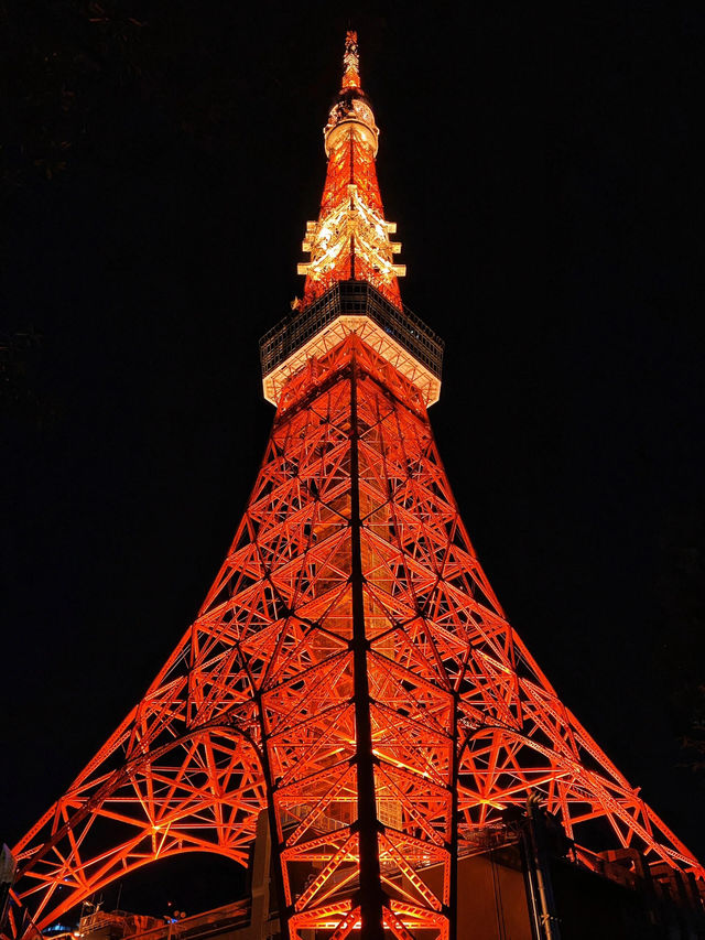 東京鐵塔｜經典紅白地標，東京街頭最佳風景 