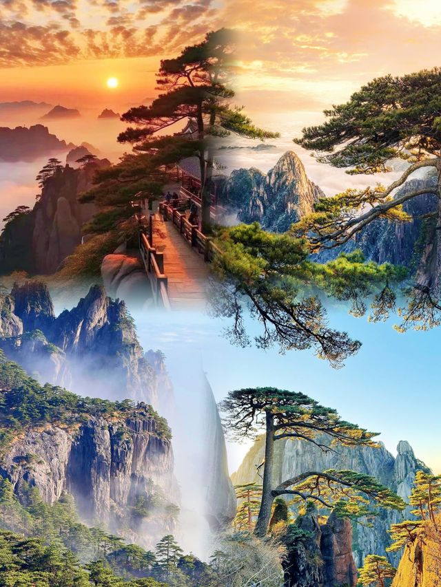 人在黃山，已被美到靈魂出竅！