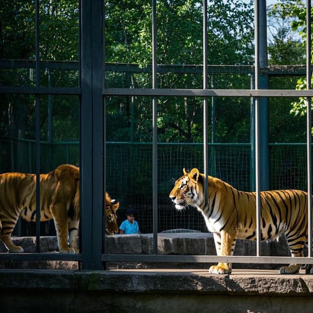 神奇野生動物園