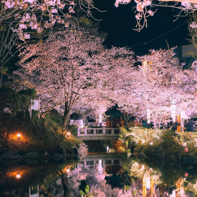 一篇搞定首尔櫻花季🌸 不做無頭蒼蠅