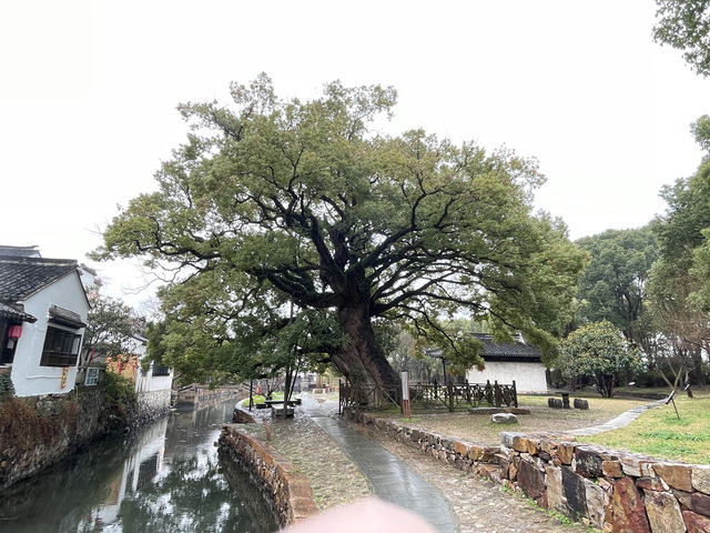 煙花三月又到蘇州