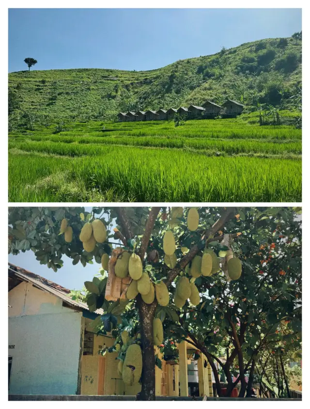 An Underrated Indonesian Gem: Discover the Natural Wonders of Bogor.