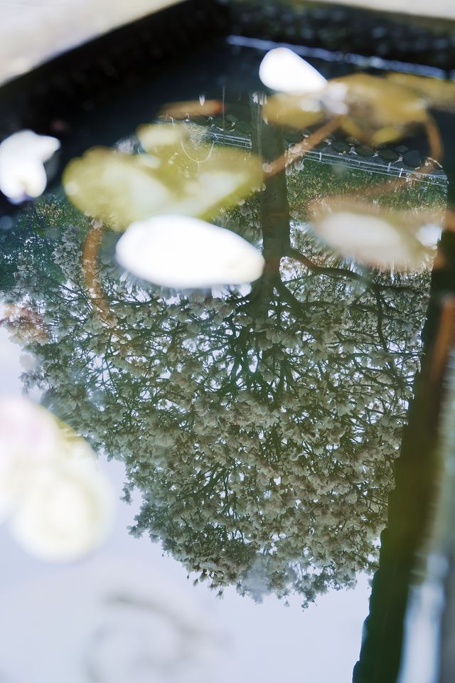 預測下一個爆紅的地方