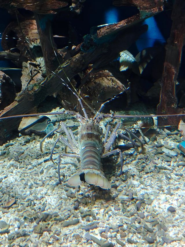 灞橋海洋公園｜體驗絲綢之路上的海洋世界