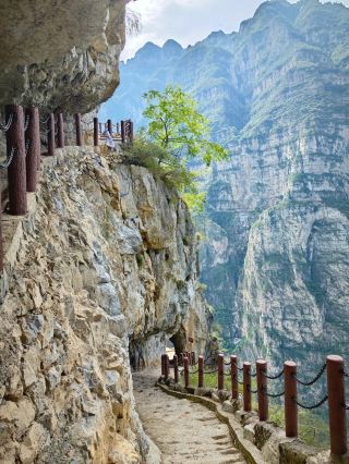 2-Day Leshan Tour During Qingming Festival